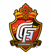 庆南FC队标,庆南FC图片