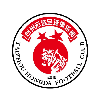 台州宏达队标,台州宏达图片