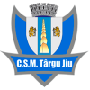 特尔古捷乌队标,特尔古捷乌图片